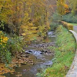 Nature Escape In Nafraiture