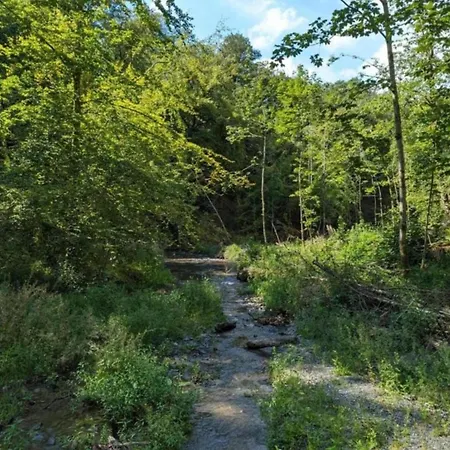 Dom wakacyjny Nature Escape In